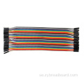 20 cm 2,54 mm band Dupont Cable 40Pin Jumper Wire